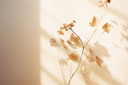 Minimalist Sunlit Autumn Foliage, a Nature Photo by Iconogenic