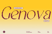 CS Anthea Disco, a Serif Font by Craft Supply Co. (Thumbnail 3 of 8)