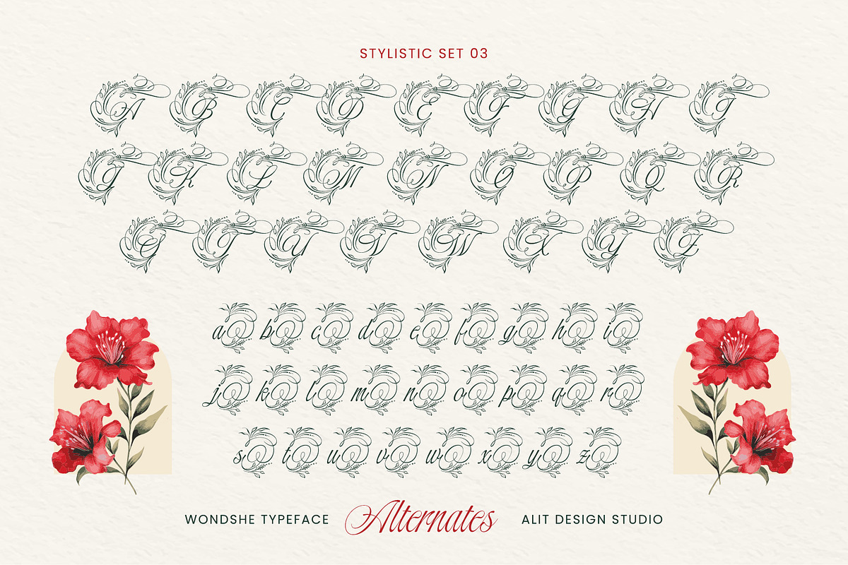 Wondshe Typeface, a Script Font by alit design (Photo 7 of 20)