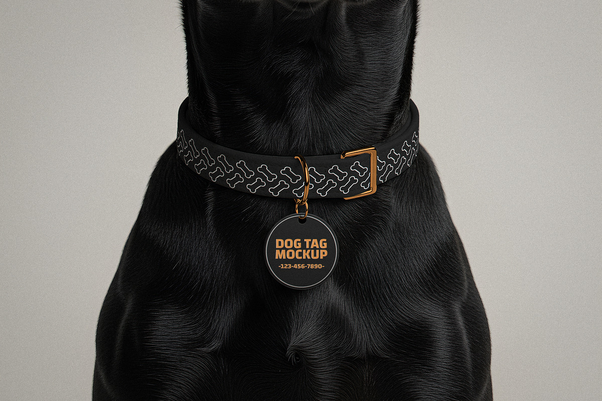 Dog Tag With Collar Mockup, a Product Mockup by Designer Dude