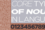 Nunito Flex Pro (54 Font), a Sans Serif Font by Positive TypeFoundry (Thumbnail 13 of 13)