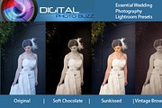 Essential Presets for Weddings preview 4