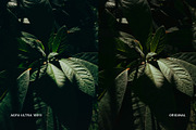 Agfa Ultra 100 II, a Preset Add-On by colorituals (Thumbnail 6 of 8)