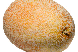 Whole ripe cantaloupe melon with characteristic netted rind, sho, a Food & Drink Photo by ndanko