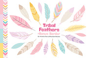 Pink Feathers Clipart & Vectors, an Illustration by Amanda Ilkov (Thumbnail 1 of 4)