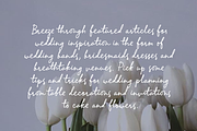 Lamelan, a Script Font by GlottaTypeface (Thumbnail 3 of 8)