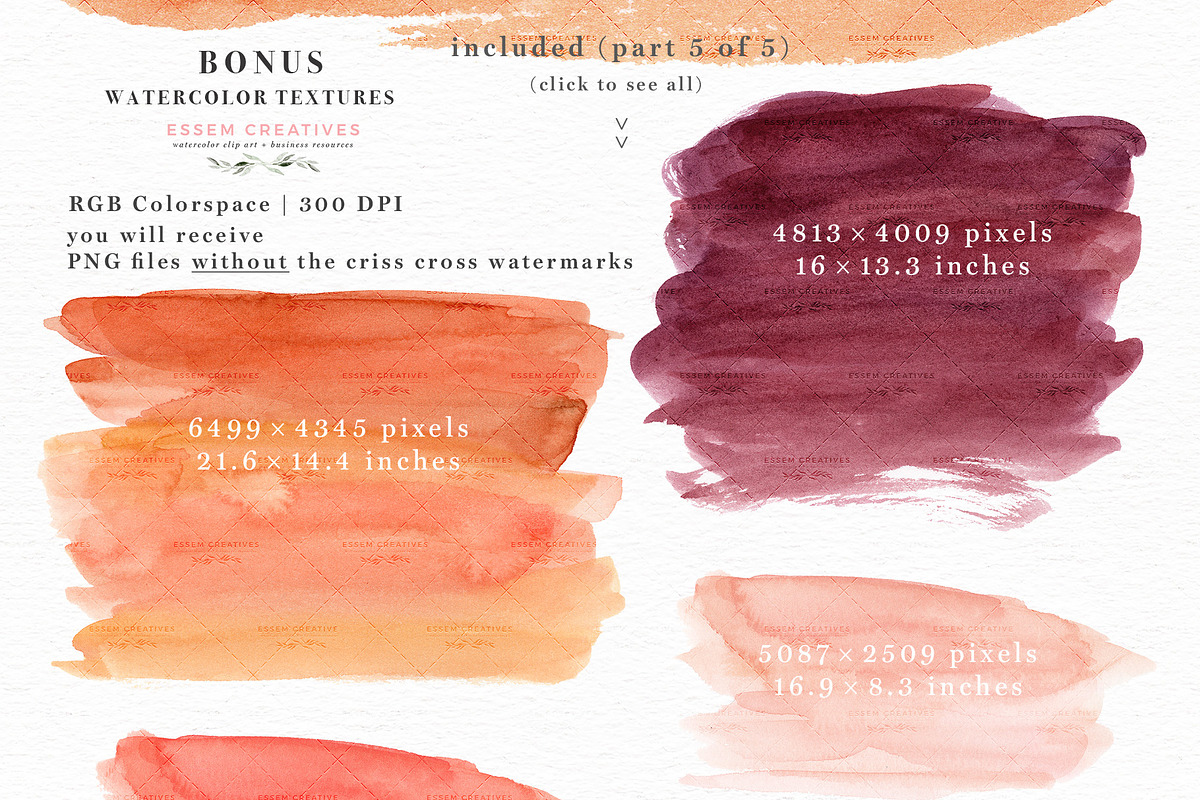 Orange Pink Fall Watercolor Flowers, an Illustration by Essem Creatives (Photo 12 of 12)