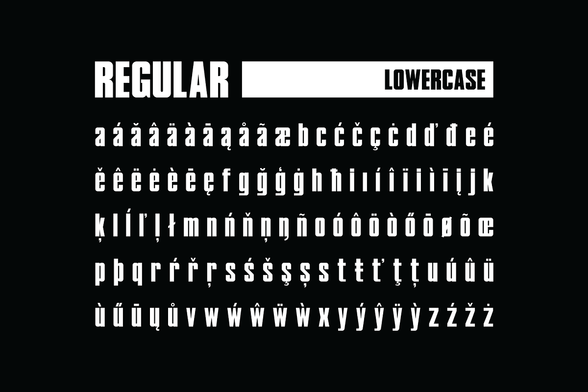 LE MANS - CLASSIC Font, a Sans Serif Font by KAZER STUDIO (Photo 5 of 10)