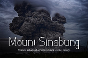 Dead Wood Serif Typeface, a Serif Font by infernostudio3 (Thumbnail 3 of 10)