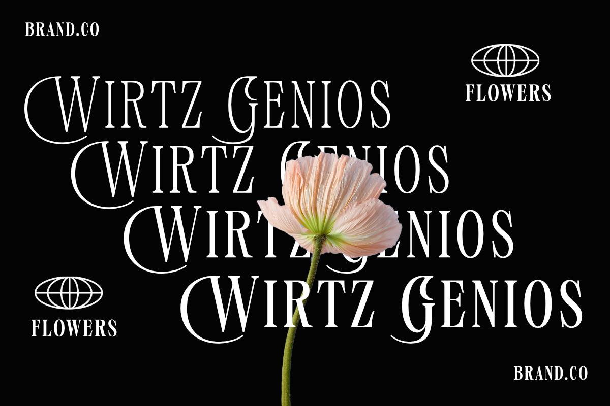 Mogokya Klektore, a Serif Font by Differentialtype (Photo 8 of 11)