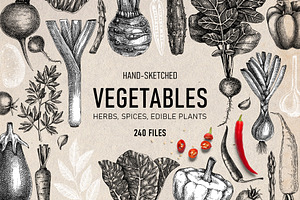 Vegetables & Herbs Vector Sketches.