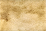 Vellum Textures, a Texture Graphic by Blue Line Design (Thumbnail 16 of 21)