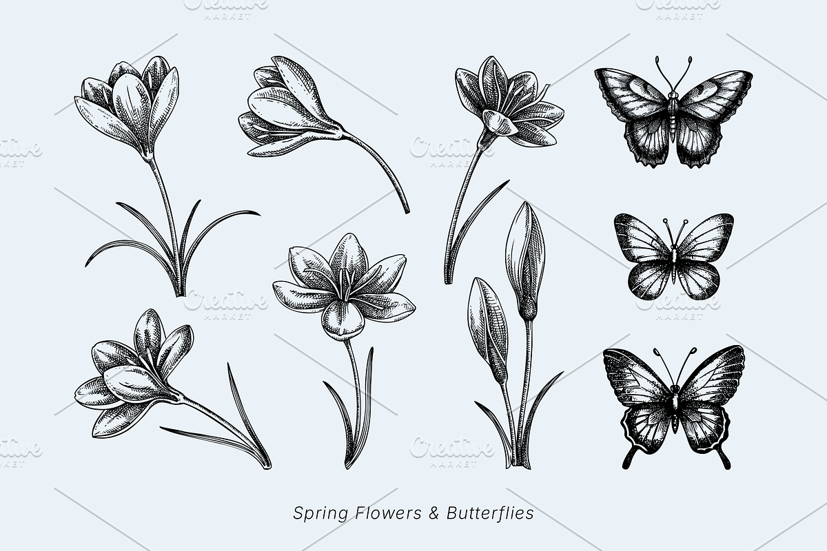 Vintage Spring Botanical Collection, a Seasonal Illustration by Yevheniia (Photo 4 of 14)