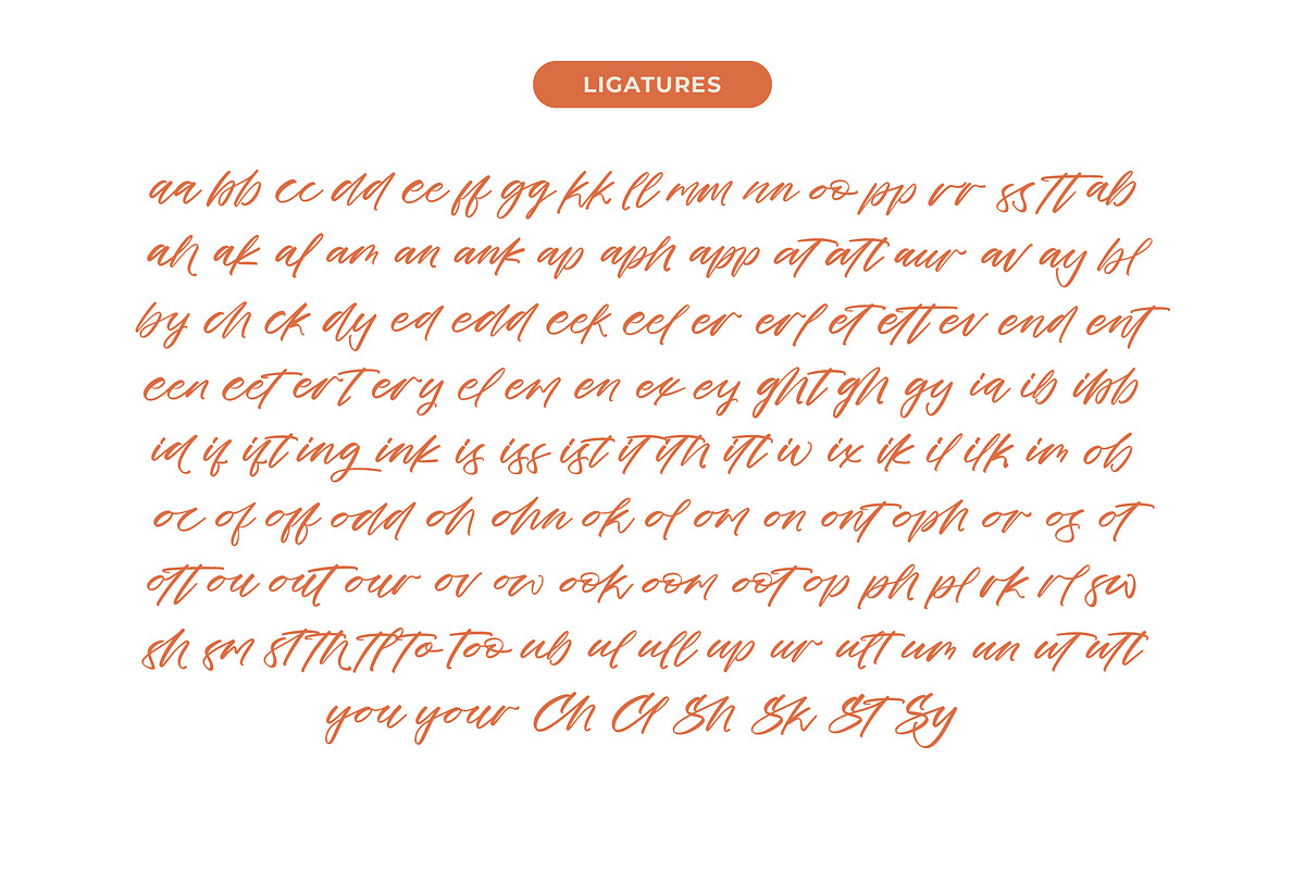 Cocktail Bigoter Modern Script Font, a Script Font by stylishtype.co (Photo 13 of 15)