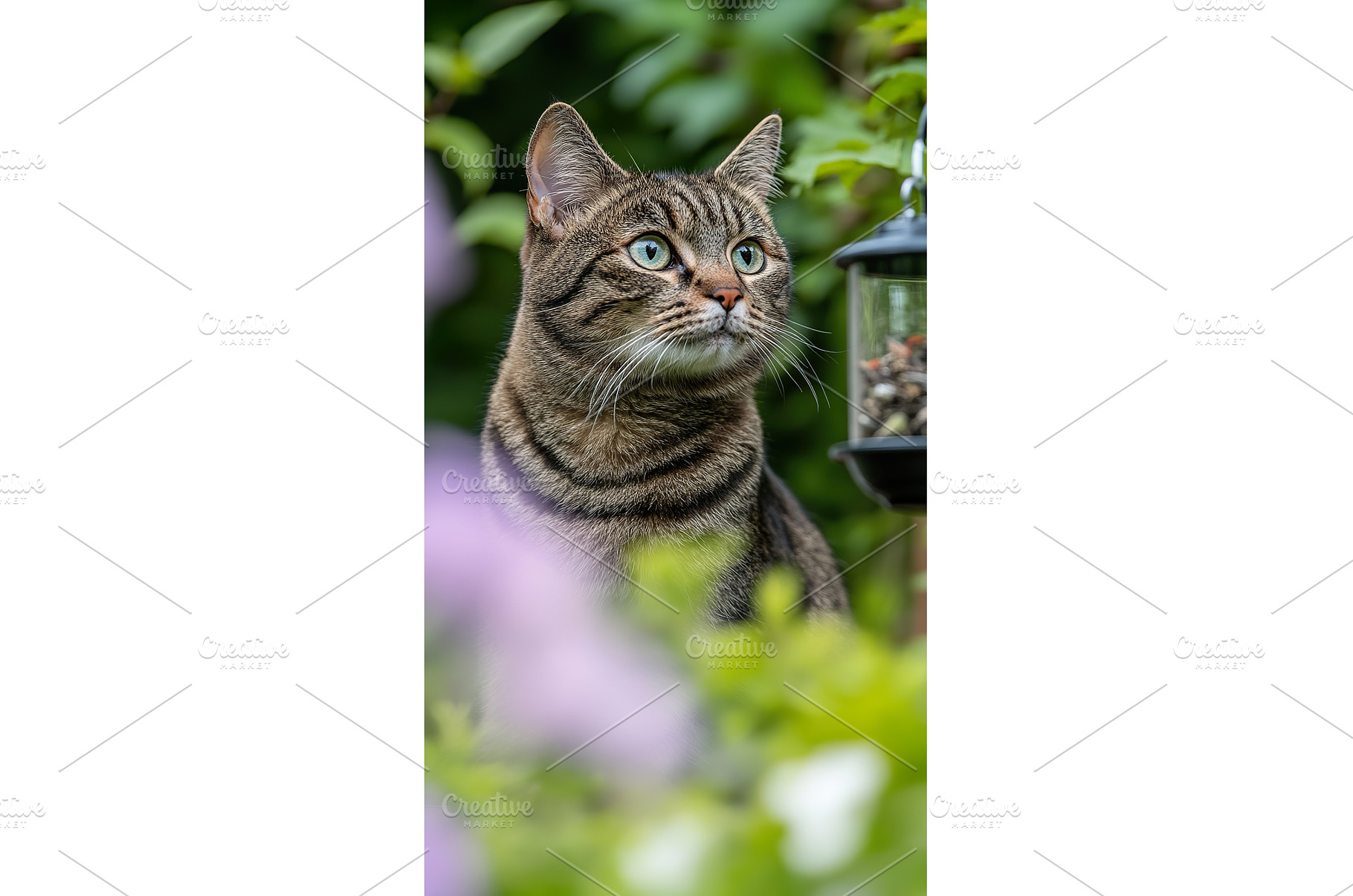 Tabby cat with green eyes peers from, an Animal Photo by Lermont51