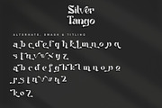 Tango Silver, a Serif Font by Letterara (Thumbnail 9 of 10)