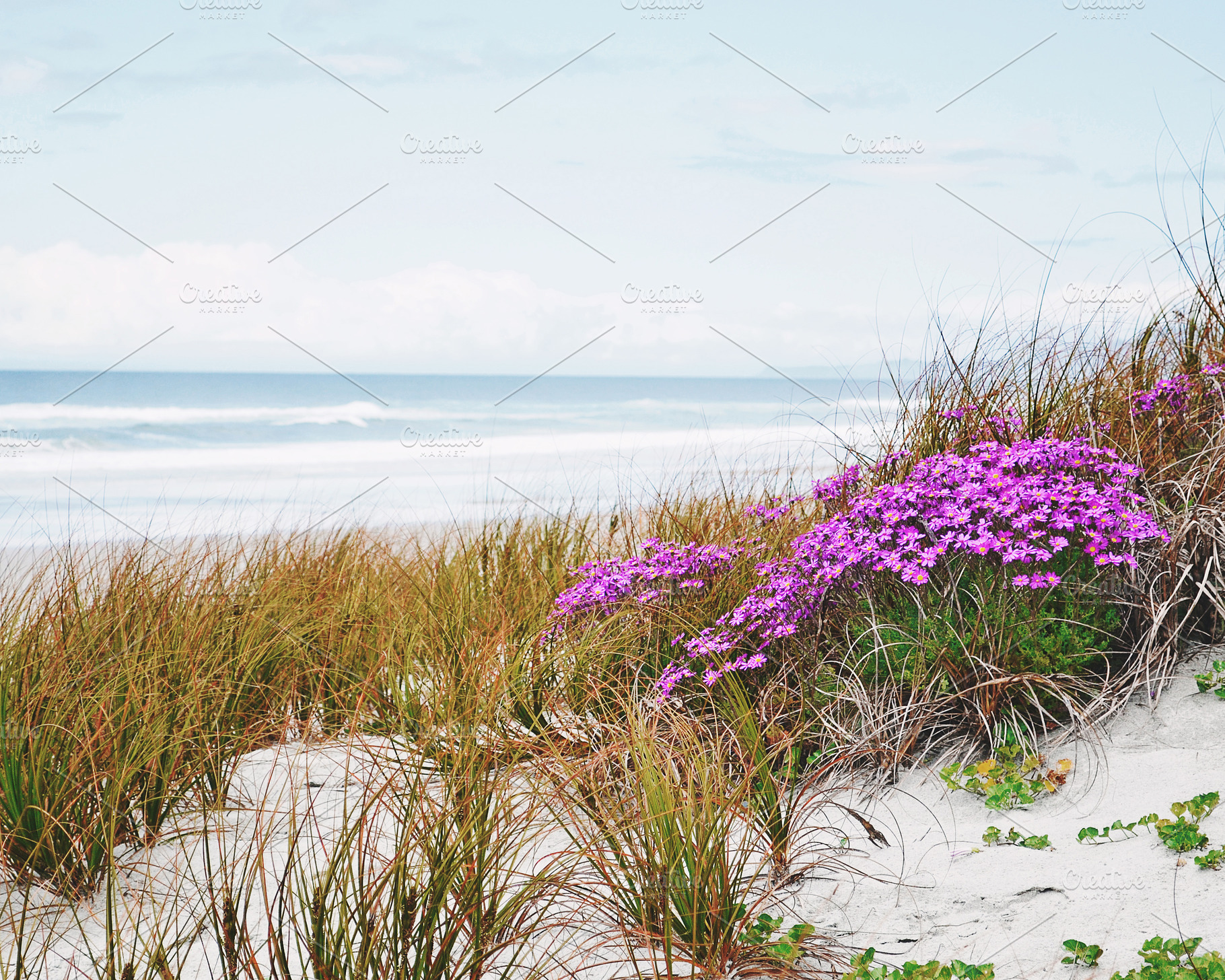 Calm Beach Scene Stock Photo, a Nature Photo by Dee Andreoli Photography