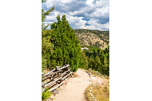 Trail near Tower Fall with rustic, a Nature Photo by Leonid Andronov
