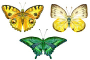Watercolor butterflies 2, an Animal Illustration by Watercolor fantasy (Thumbnail 5 of 5)