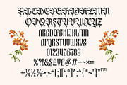 Nocthira Blackletter Font, a Blackletter Font by Heinzel Std (Thumbnail 6 of 10)