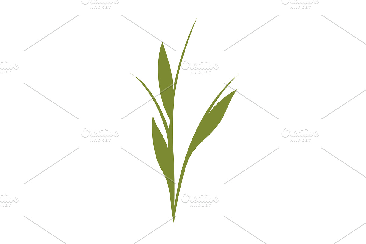 Stylized single green plant stem, an Object Illustration by okskukuruza