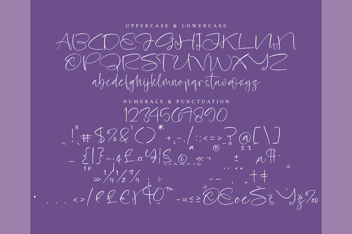 Flower Blossom, a Script Font by operatype.co (Photo 13 of 15)