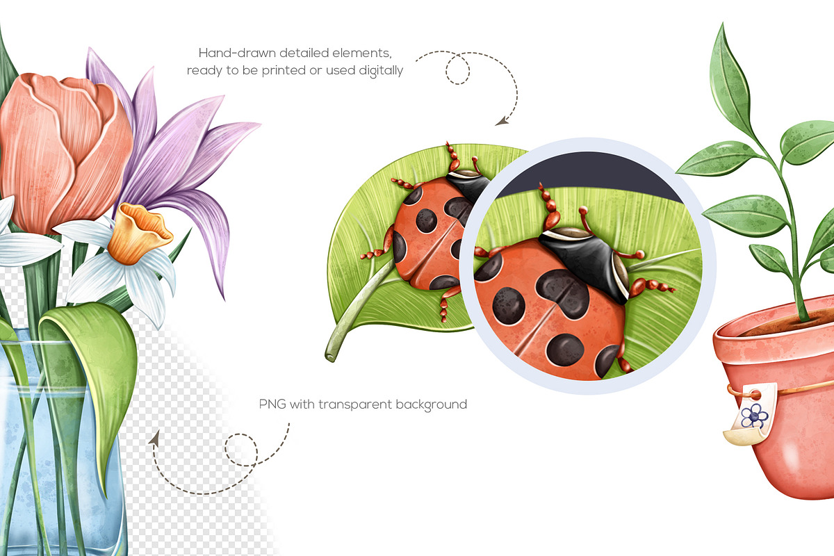 Gardening Clipart PNG Set, an Object Illustration by Mespilia (Photo 3 of 5)