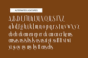 Bikems Modern Serif Typeface, a Serif Font by Alfinart (Thumbnail 9 of 10)
