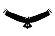 50 Flying Eagle Silhouette Vector Bu, an Illustration by Designs_River (Thumbnail 31 of 51)