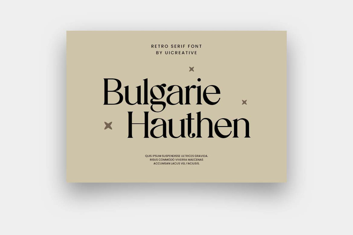 Reanointe Serif Display, a Serif Font by UICreative (Photo 3 of 13)