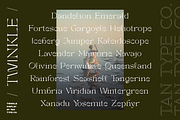 TAN - TWINKLE, a Serif Font by TanType (Thumbnail 4 of 10)