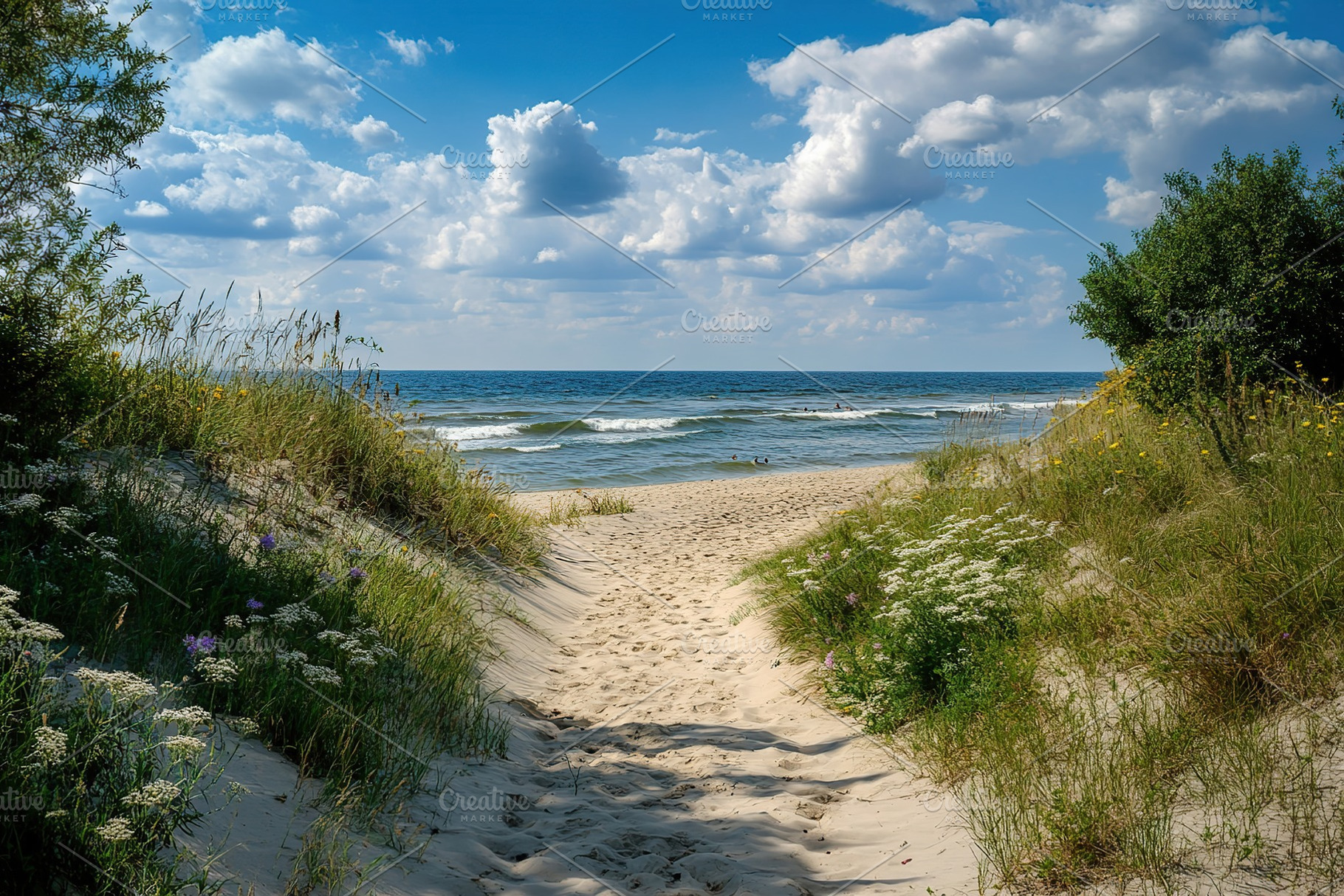 Explore the tranquil beach pathway leading to the serene ocean under a bright s, a Nature Photo by AlyaAnd