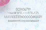 Vanett A Beautiful Handwritten Font, a Serif Font by Creativetacos (Thumbnail 3 of 5)