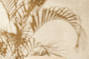 Sandstone podium palm leaf shadow, an Abstract Photo by hitdelight