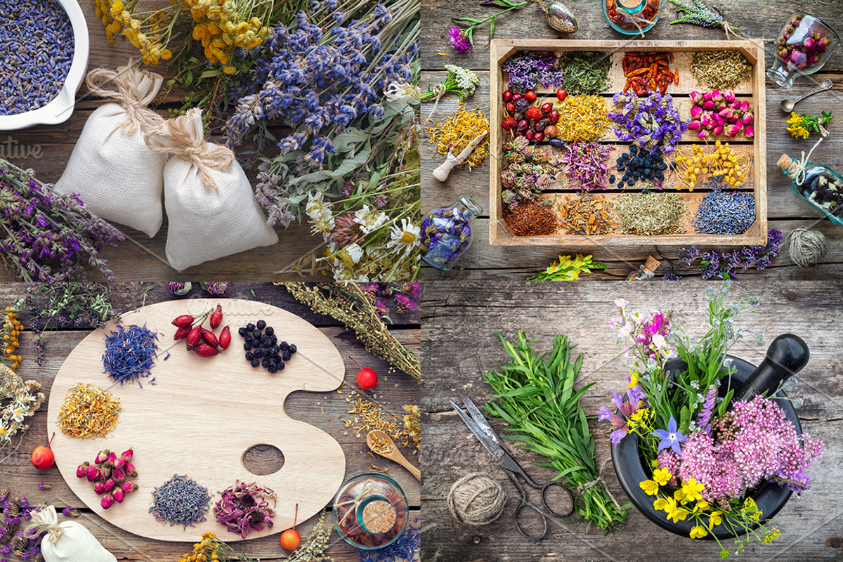 Herbal Medicine Bundle, a Health & Medical Photo by chamillewhite (Photo 6 of 6)
