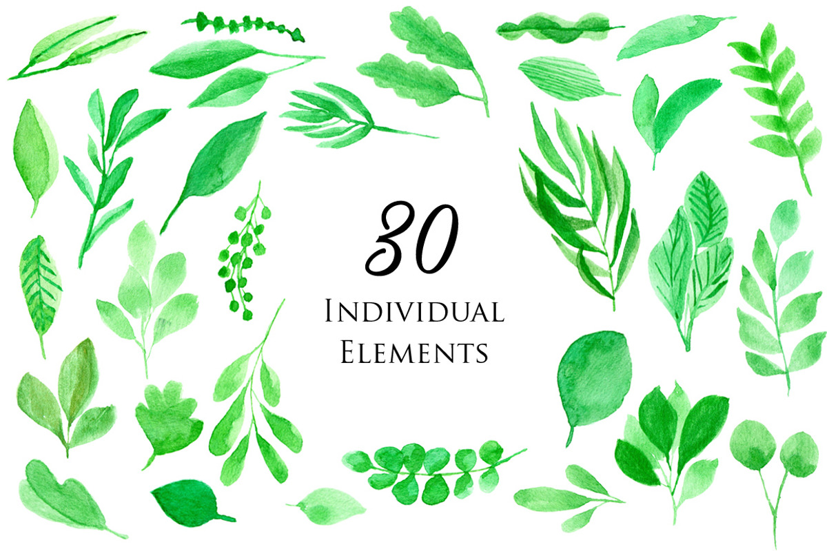 Leafy Watercolor Clipart, an Illustration by wulano (Photo 2 of 6)