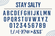 Stay Salty, a Serif Font by Aura Typeface (Thumbnail 2 of 8)
