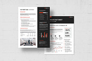 Factsheet Template, a Flyer Template by BrandPacks (Thumbnail 4 of 5)