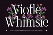 Oliveira - Modern Elegant Pixelated, a Serif Font by Typia Nesia (Thumbnail 8 of 14)
