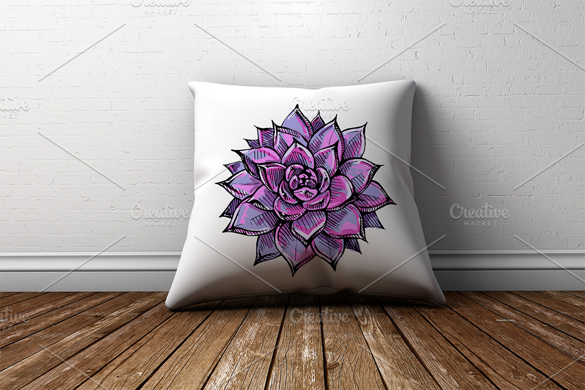 Vector succulents collection, an Illustration by AV Design (Photo 4 of 7)