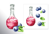 Blueberry. Watercolor collection, a Food Illustration by Daria Ustiugova (Thumbnail 17 of 25)