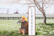 Farmhouse Lemonade, Tall Skinny Font, a Handwritten Font by Kaya Fonts (Thumbnail 2 of 24)
