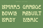 Bornine display typeface family, a Slab Serif Font by greatypes studio (Thumbnail 6 of 15)