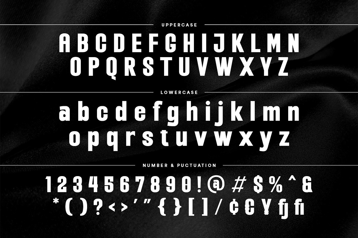 Reganz - A Modern Sans Serif Font, a Sans Serif Font by Almeera Std (Photo 3 of 7)