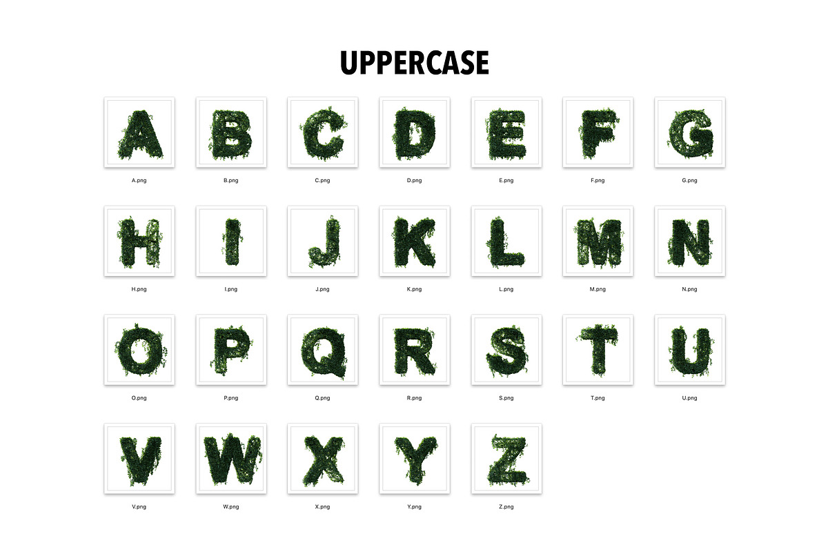 PSD Ivy Leaves 3D Letters, an Object Graphic by GK Creative (Photo 6 of 9)