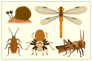 Bugs Collection Set I