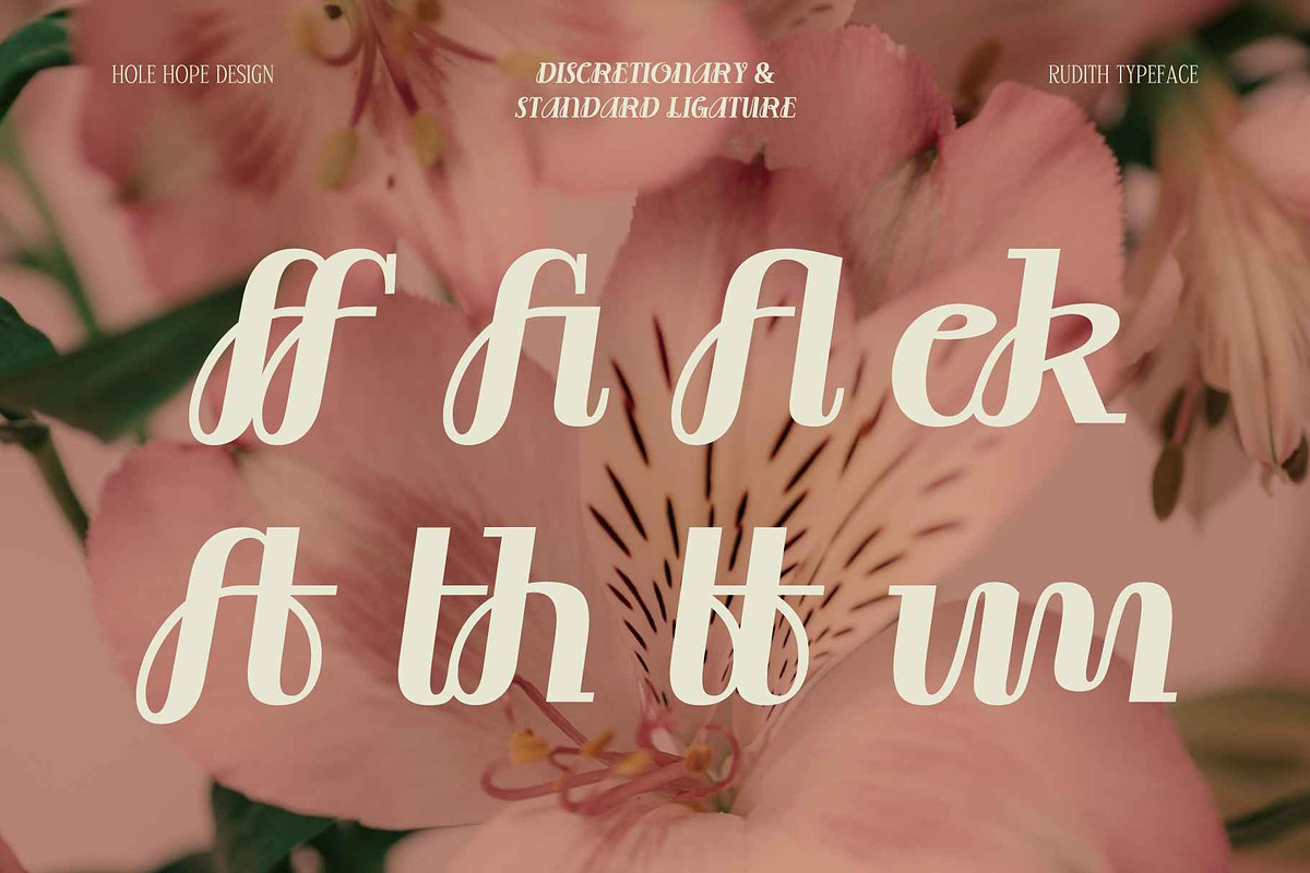 Rudith | Eclectic Script Cursive, a Script Font by Hole Hope Design (Photo 5 of 10)