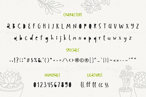 Rodriguez Font