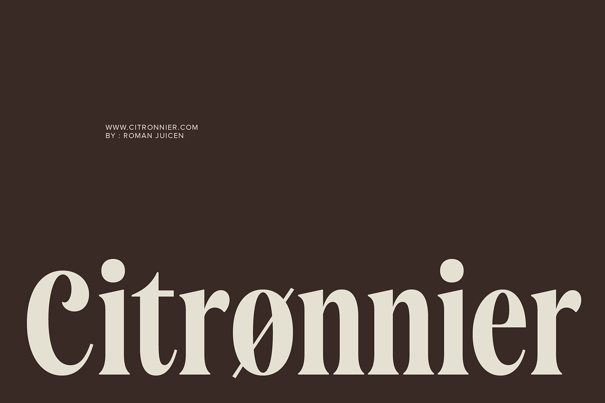 Saneco | Display Serif, a Serif Font by Jolicia Type (Photo 6 of 12)