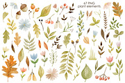 Watercolor autumn collection., a Decorative Illustration by Kira Konoshenko (Thumbnail 2 of 26)
